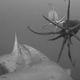Illustration for article titled Watch Jumbo Squid Turn Into Strobe Lights When They Communicate